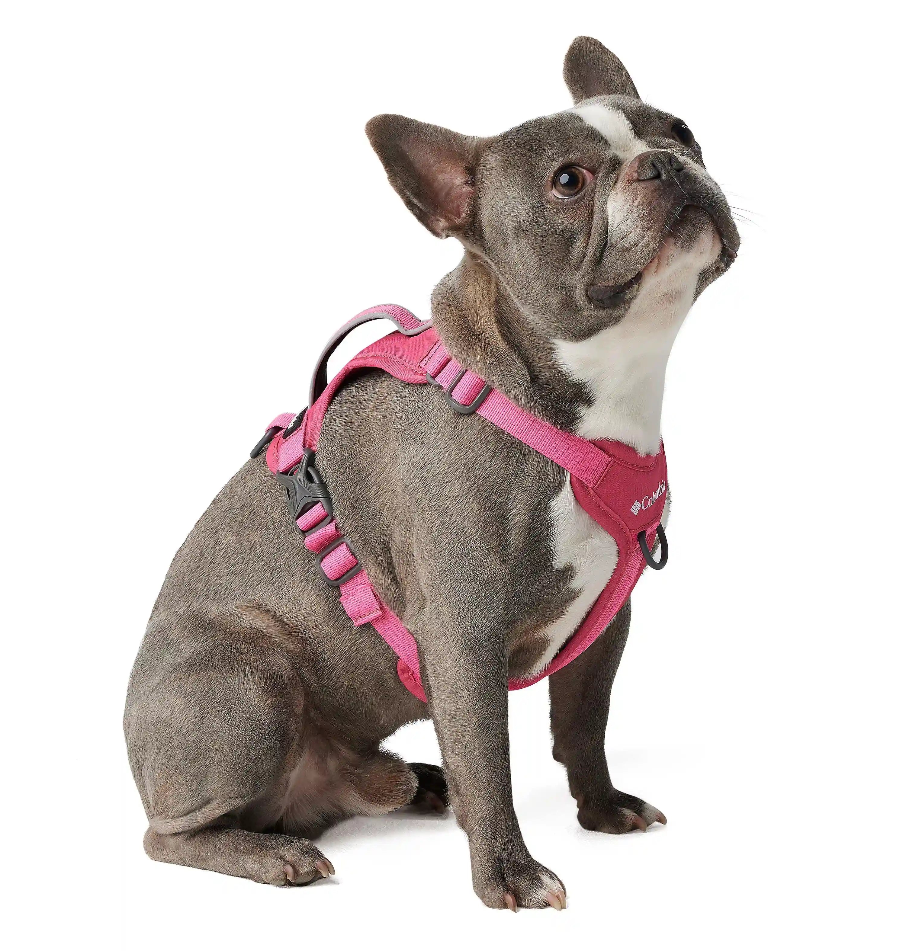 columbiacloth.it.com