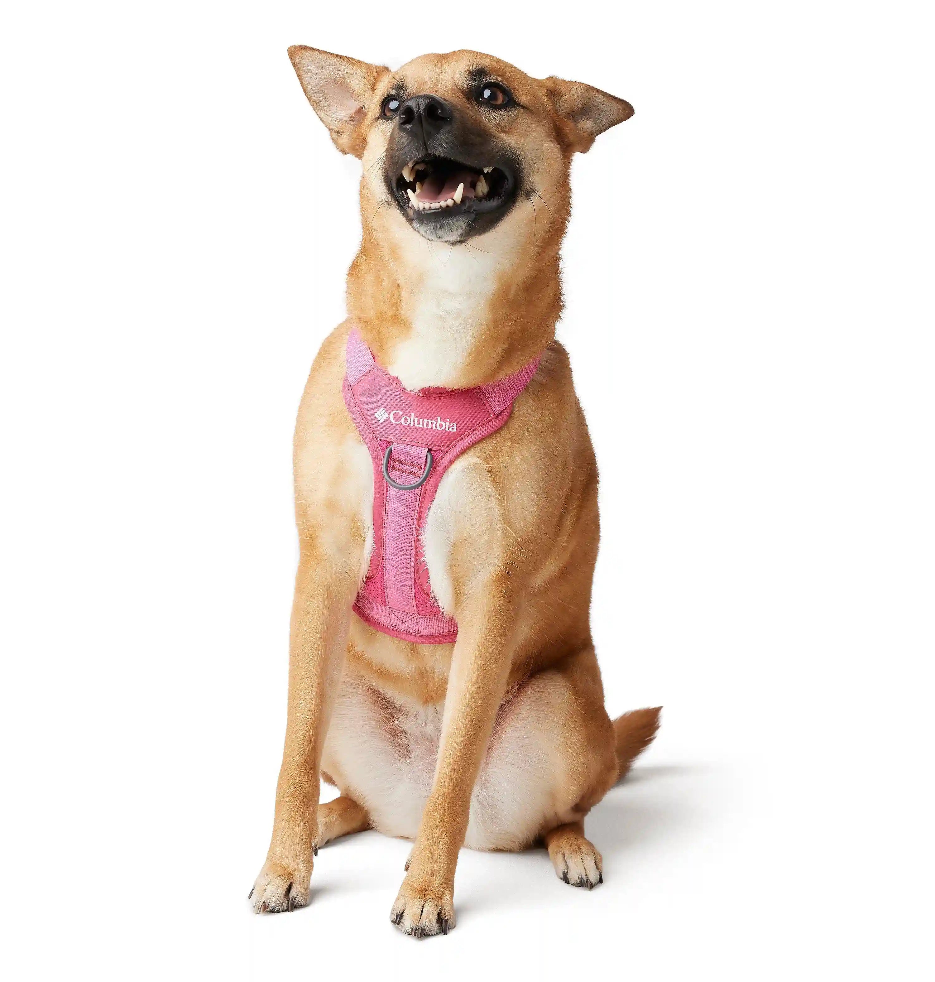 columbiacloth.it.com